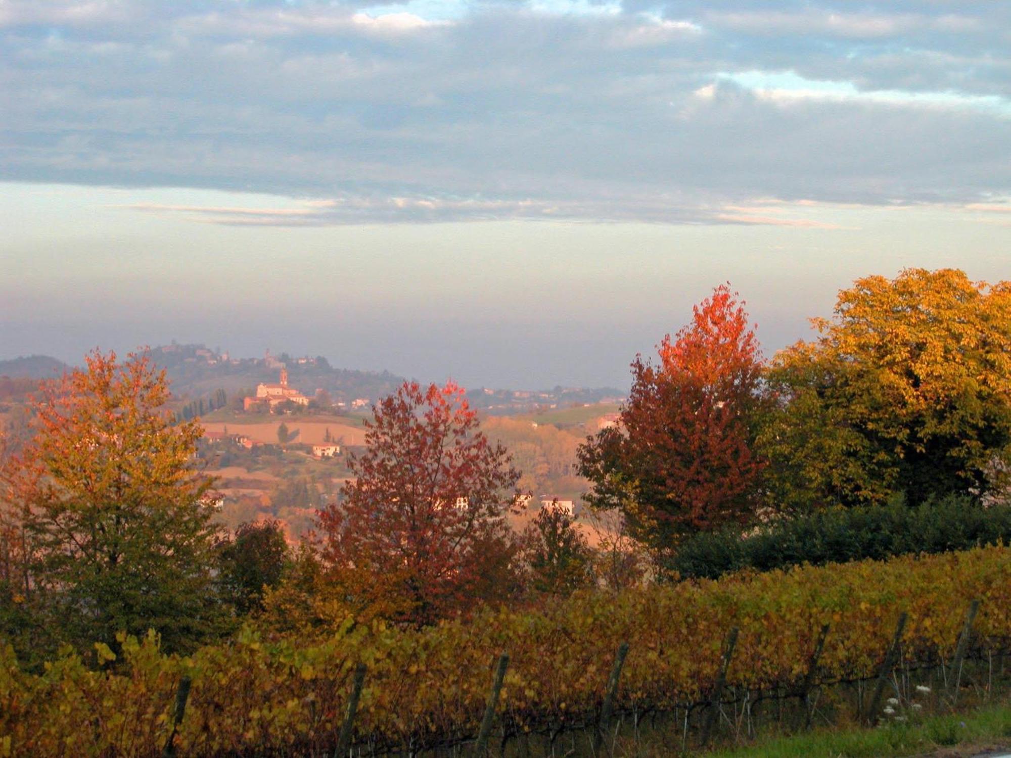 Al Riccio Bed & Breakfast Cocconato Luaran gambar